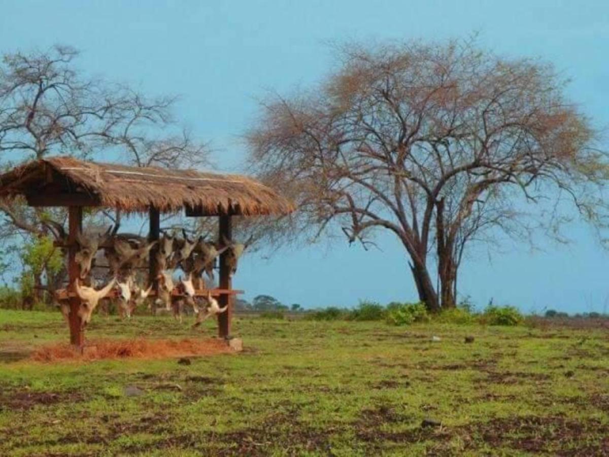 Fida Ijen Crater Guesthouse Licin Dış mekan fotoğraf