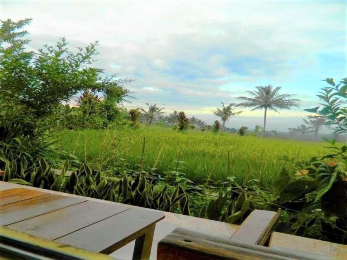 Fida Ijen Crater Guesthouse Licin Dış mekan fotoğraf